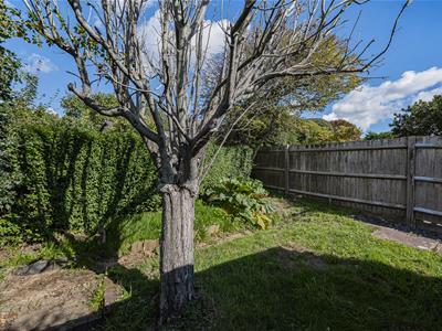 Picture 28